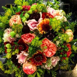 Rokoko orange/rosa/rd